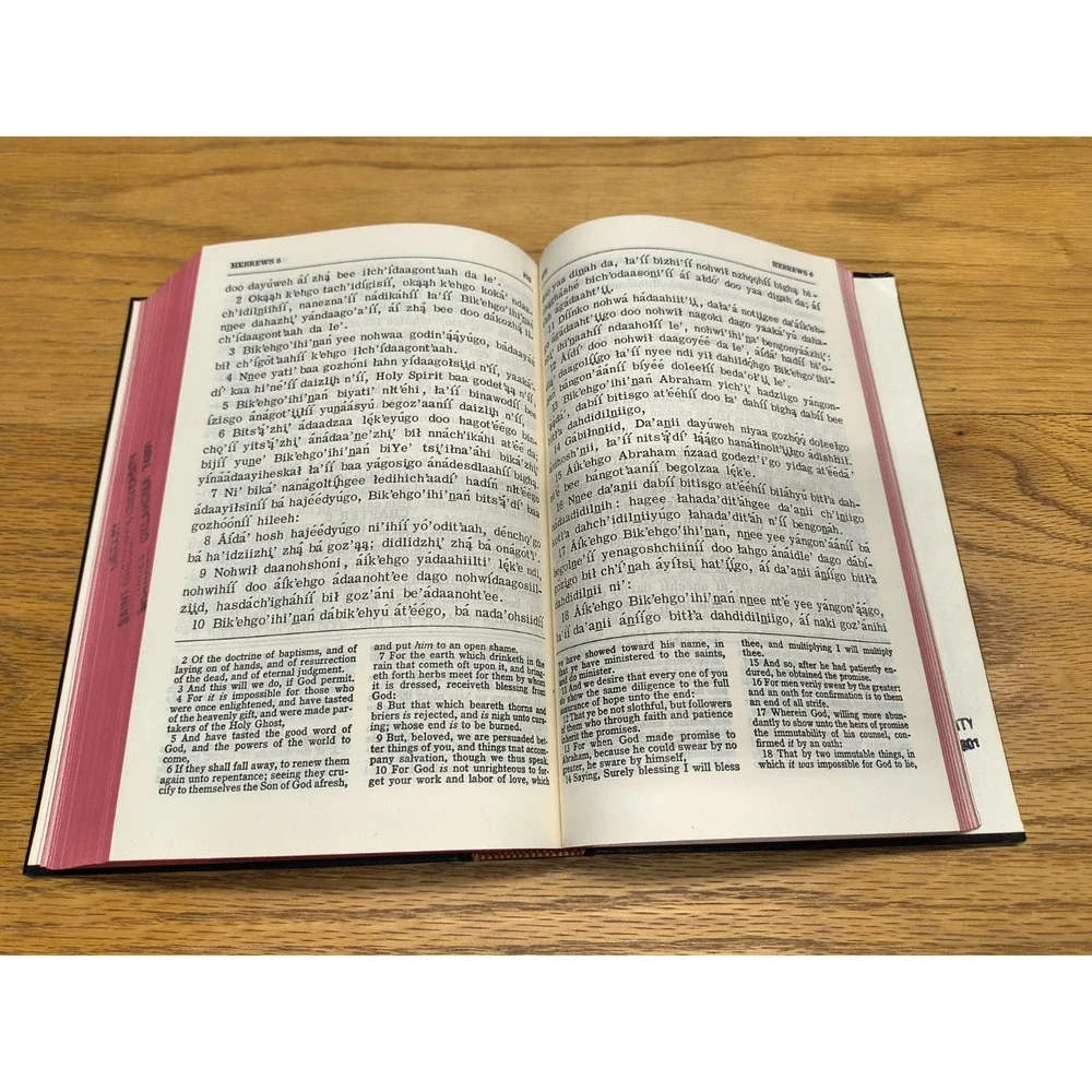 Western Apache and English New Testament Hardcover Vintage 1969 Lord and Saviour